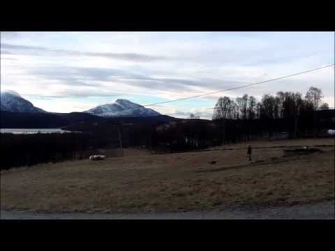 Inka 26. oktober 2014