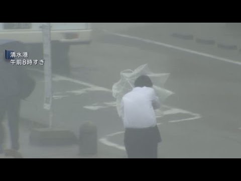 YouTube Video 台風６号の影響で静岡県内でも広い範囲で雨　伊豆に線状降水帯が発生　暴風や高波にも警戒