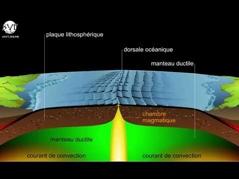 Animation de l'expansion des fonds océaniques : le volcanisme des dorsales médio océaniques