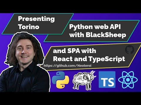 Presenting Torino Python Web Api And React Spa With Python And Typescript