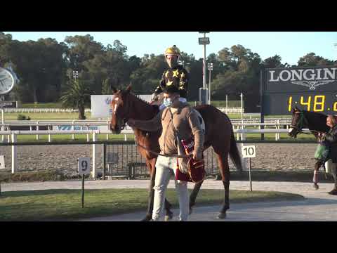 210711 c06 Agraciada/ HONRA REAL (BRZ)