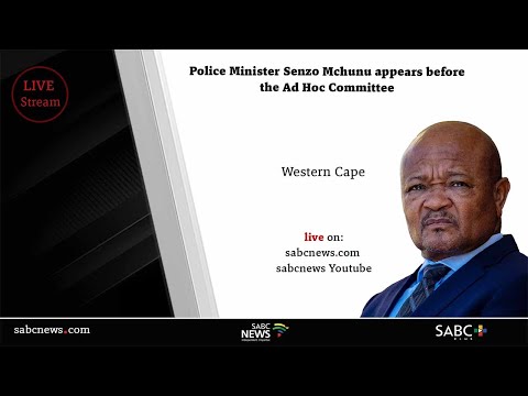 Parliament Ad Hoc Committee | Police Minister Senzo Mchunu - Day 2