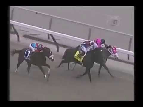 The Wood Memorial Stakes (G1)  2002 -  Buddha