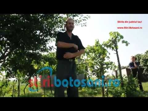 Tragedie la Vorona: Copila de 15 ani gasita spanzurata - www.stiri.botosani.ro