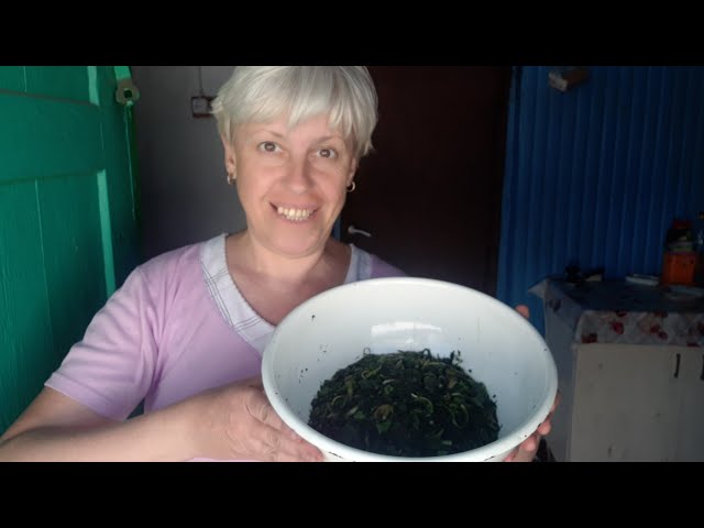 Youtube Video Youtube Video