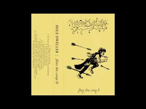 Hole Dweller - Flies The Coop II (2020) (Dungeon Synth, Fantasy Synth)