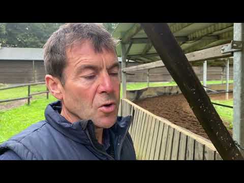 Zu Gast im Rennstall von Trainer Peter Schiergen vor dem RaceBets 138. St. Leger in Dortmund