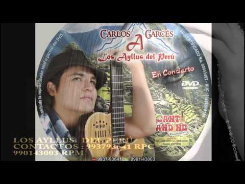 CHOFERCITO CARRETERO -LOS AYLLUS DEL PERÚ 2015