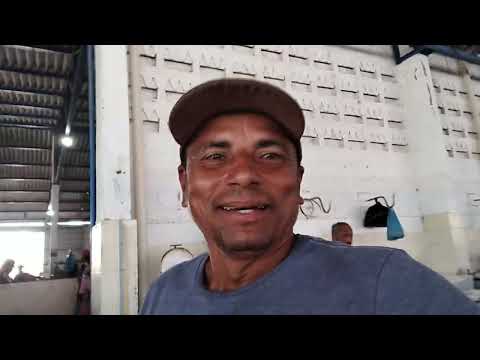 Feira de itaporanga d.ajuda Sergipe 