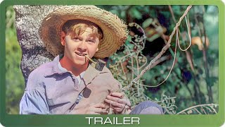 The Adventures of Huckleberry Finn (1939) Video