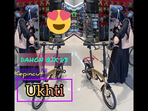 DAHON QIX D3 gold