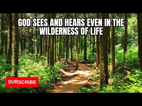 God Sees And Hears Even In The Wilderness Of Life