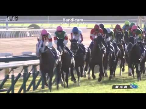 【競馬】菊花賞　キタサンブラック制覇！北島さぶんちゃんの祭り