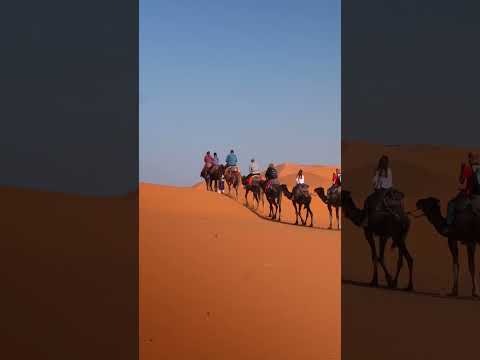 Unleash Your Wanderlust: Epic Camel Ride in Merzouga Desert!
