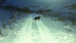 Running with my boots on.