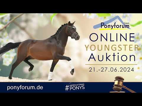 Love Babe Stute 2021 v. Bonds / Sandro Hit