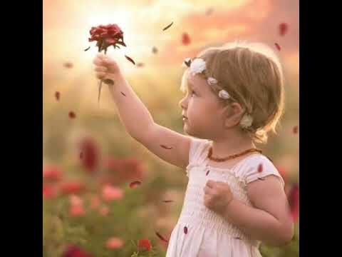 На страшном суду - Владика Николај