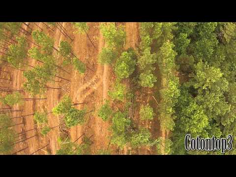 Logging with a drone