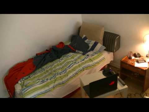 MongoTV_3736 - Mongo Games - American Truck Simulator - Part 81 - Wood Transport