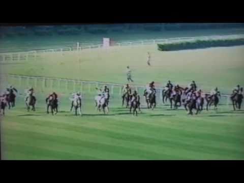 Derby arabskie - 25.07.2004 - Fedain  (Pamir - Fascynacja) / Padus