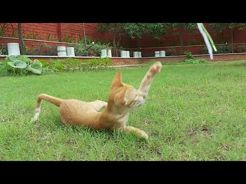 playing time #shorts