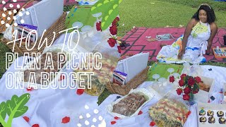 HOW TO PLAN A PICNIC ON A BUDGET + SIP AND PAINT | BELOW #5000/ $10 PER PERSON