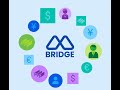 Bridge Suite CRM Application Features