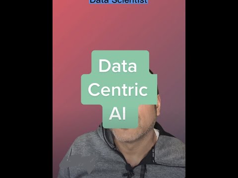 Data Centric AI