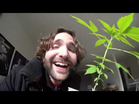 Trasferirsi tantissimo e male - DIARIO DI BORDO