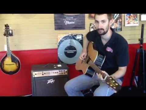 Ecoustic 112 Acoustic Amp - Folk Country Blues Rock Singer Songwriter Open Mic Music Lessons