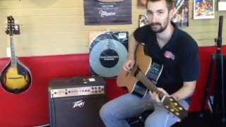 Ecoustic 112 Acoustic Amp - Folk Country Blues Rock Singer Songwriter Open Mic Music Lessons