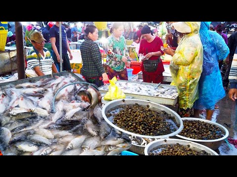 Fresh Morning Foods In The Rain - Street Food Tour At Chhbar Ampov Market