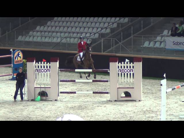 Related to Electra van t Roosakker - 1M60 showjumper
