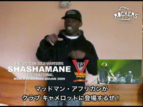 SHASHAMANE Internationalより、緊急来日コメントが到着！