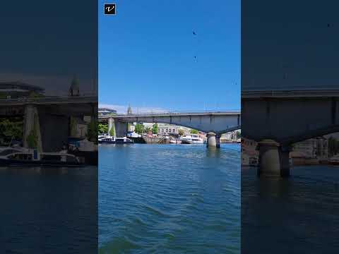 Costanera Valdivia Chile Región De Los Ríos