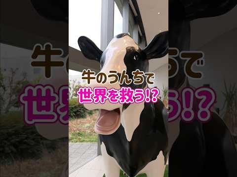 牛の糞は地球温暖化の原因となる:これは地球温暖化防止に役立つはずだ