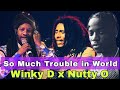 Winky D Ft Nutty O So Much Trouble In The World