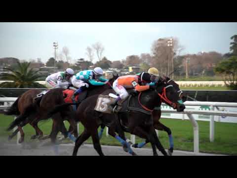 210828 c08 WAHEEDA (BRZ)