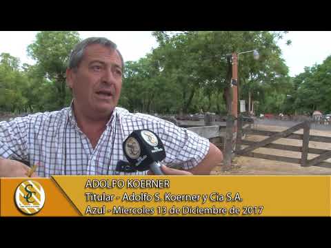 13-12-17 Nota Adolfo Koerner - Adolfo S. Koerner y Cia S.A. - Azul.