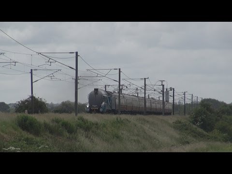 The Ebor Streak, 4464 Bittern, 29 Jun 2013.