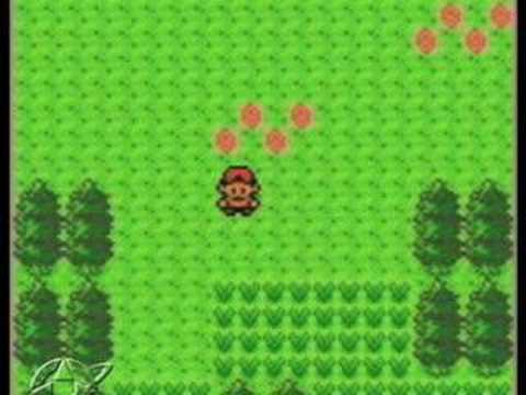 Pokemon Silver/Gold/Crystal - Route 29