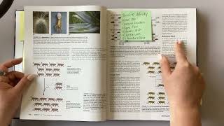 APES Unit 2 Module 13 F&R Text Sticky Notes