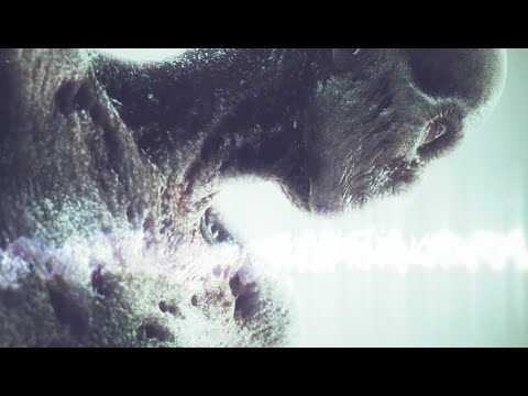 Videoclip de Silverwing — Arch Enemy