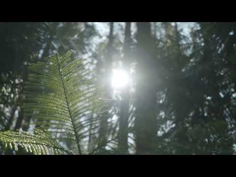 Stango Feat Cizzle ( Official Audio )