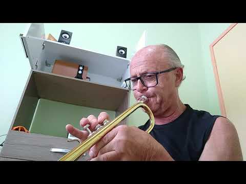 Roberto Przybylski -  Erik Truffaz, Siegfried