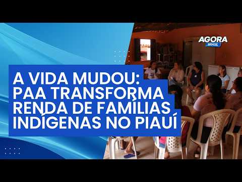 Programa de Aquisição de Alimentos transforma renda de famílias indígenas no Piauí | Jogo do Poder