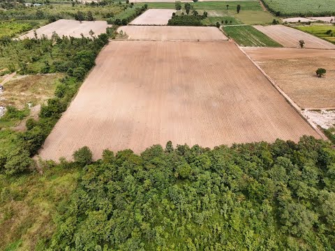 30 Rai Agricultural Land Opportunity Nong Han, Udon Thani, Don Hai Sok, Nong Han, Udon Thani, , 48,268 sqm, Land For Sale, by วีรภัทรา ดาร์เปอร์, 500474849 - DDproperty.com