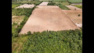 30 Rai of Fertile Land For Sale in Nong Han, Udon Thani, Thailand