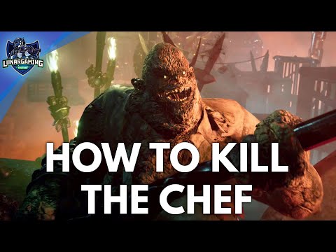 The Chef Boss Fight & Cutscene Dungeons & Dragons Dark Alliance