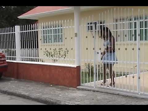 palitos de paleta Billy many